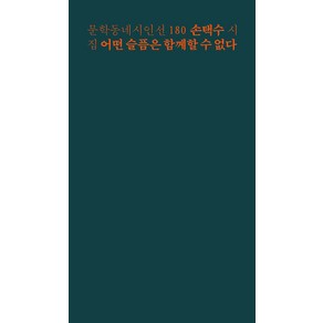 [문학동네]어떤 슬픔은 함께할 수 없다 - 문학동네 시인선 180, 문학동네, 손택수