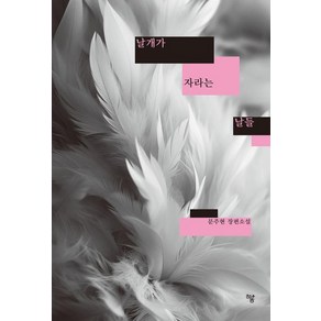 날개가 자라는 날들:문주현 장편소설, 하움출판사, 문주현