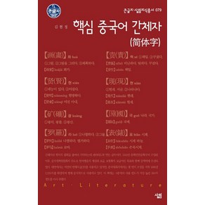 핵심 중국어 간체자, 살림, 김현정 저