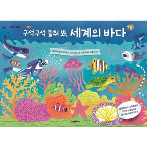 [시공주니어]구석구석 들춰 봐 세계의 바다 - 네버랜드 플랩북 (보드북), 시공주니어, 에이미 니콜스 다이버