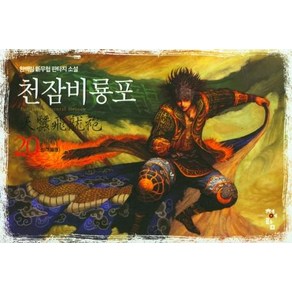 천잠비룡포 20