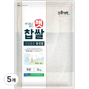 정남진장흥 산들해랑 동진 찹쌀, 4kg, 5개