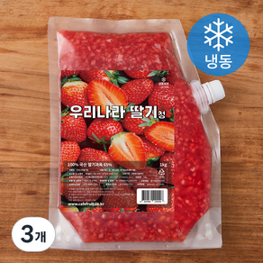 우리나라 딸기청 (냉동), 1kg, 3개