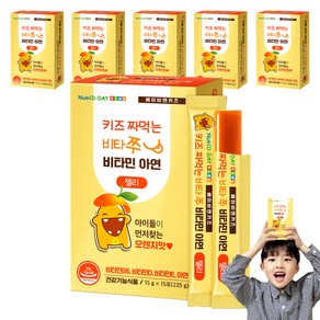 뉴트리디데이 키즈 짜먹는 비타쭈 비타민 아연 젤리 15p, 225g, 6개