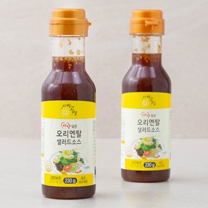 사랑과정성 사랑담은 오리엔탈 샐러드소스, 230g, 2개