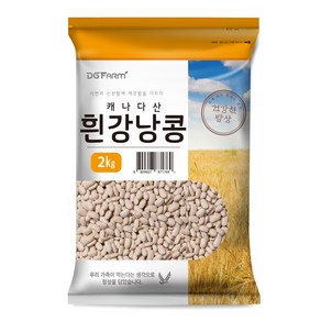 대구농산 흰강낭콩, 2kg, 1개