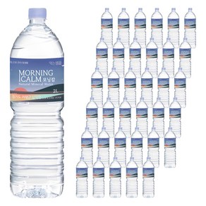 모닝캄 생수, 2L, 36개