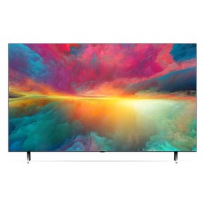 LG전자 4K UHD QNED TV, 163cm(65인치), 65QNED70NRA, 스탠드형, 방문설치