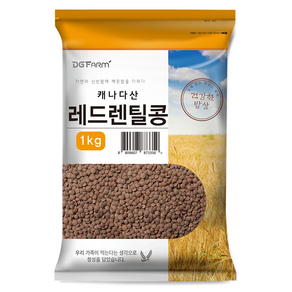 건강한밥상 레드렌틸콩, 1kg, 1개