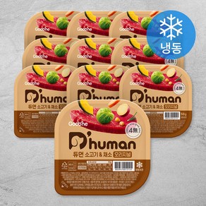 듀먼 전연령용 강아지 오리지널 화식사료, 소+채소, 50g, 10개