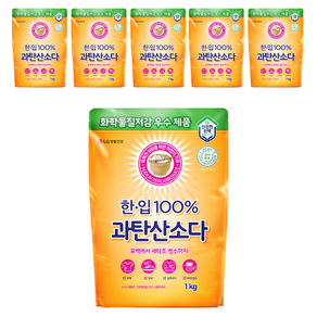 한입 100% 과탄산소다, 6개, 1kg