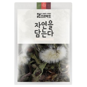 조은약초 민들레, 200g, 1개입, 1개