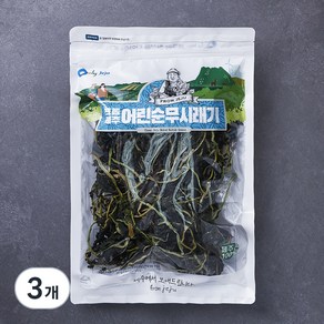 프롬제주 제주산 어린순 무시래기 100g