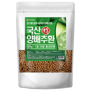 건강중심 양배추환, 500g, 1개