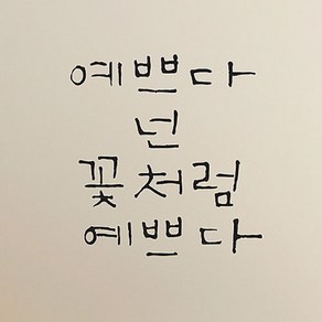 캘리그라피 포인트스티커 예쁘다 넌 꽃처럼