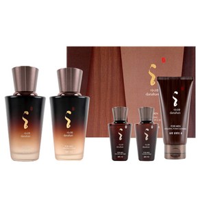 다나한 포맨 율현 2종 세트, 스킨 140ml + 30ml + 로션 140ml + 30ml + 클렌징폼 80ml, 1세트