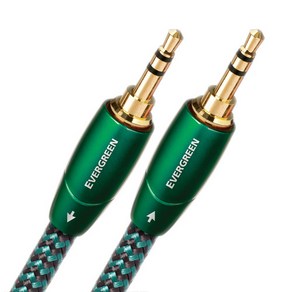 오디오퀘스트 Evergreen 3.5mm to 3.5mm 아날로그 인터커넥터 케이블 1m