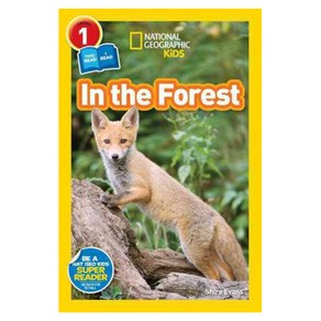 In the Forest(National Geographic Kids)(Paperback)