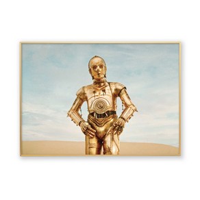 콜렉션플러스 스타워즈 C3PO 17001 포스터 + 메탈 액자, 골드