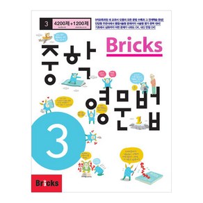 Bricks 중학