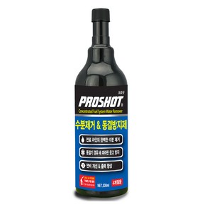 대림 프로샷 수분제거 동결방지제 300ml, 1개