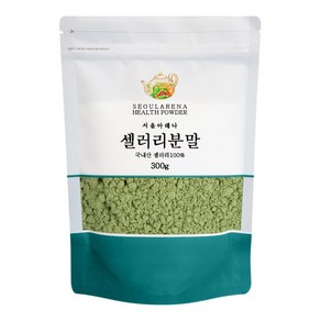 서울아레나 셀러리 분말, 300g, 1개