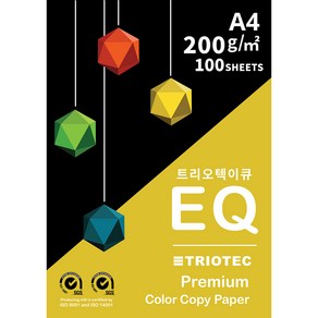 트리오텍이큐 컬러 복사용지 200g, A4, 100매