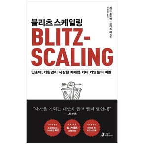 블리츠스케일링:단숨에 거침없이 시장을 제패한 거대 기업들의 비밀