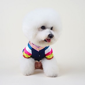 황진이 올인원 반려동물 한복, 혼합색상, 1개