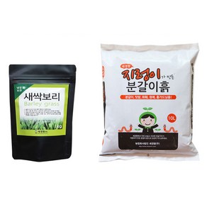 새싹보리 1kg + 분갈이흙 10L