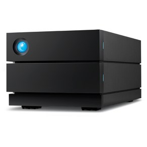 씨게이트 라씨 LACIE 2big Raid STHJ16000800, 16384GB, 블랙