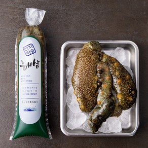 갯마을 남해안 봉지해삼 (냉장), 280g, 1봉