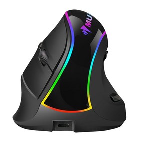 Murray 무선 블루투스 RGB 디자인 버티컬 마우스 BM-550