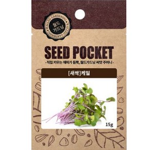 월드가드닝 정원 텃밭 좋은 씨앗 새싹 케일 15g, 1개