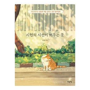 시현의 시선이 머무는 곳:가장 빛나는 날들에 색을 입히는 감성 컬러링북