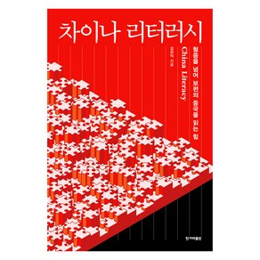 차이나 리터러시:혐중을 넘어 보편의 중국을 읽는 힘