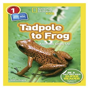 National Geogaphic Kids Reades Level 1 : Tadpole to Fog