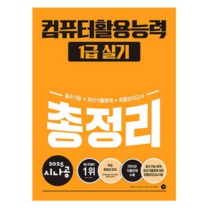 2025 시나공 컴퓨터활용능력 1급 실기 총정리