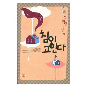 침이 고인다(큰글자도서), 김애란, 문학과지성사