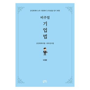 비주얼 기업법 2 : 공인회계사법 외부감사법, 나우퍼블리셔