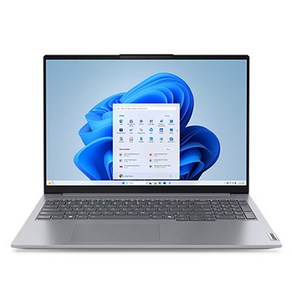 레노버 2024 씽크북 16IML G7 ULT5 코어Ulta5, ARCTIC GREY, 2560GB, 32GB, WIN11 Home, 21MS008HKR