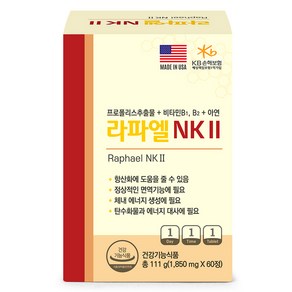 라파엘 NK 2 항산화 면역케어 프로폴리스 비타민 아연 111g, 1개, 60정