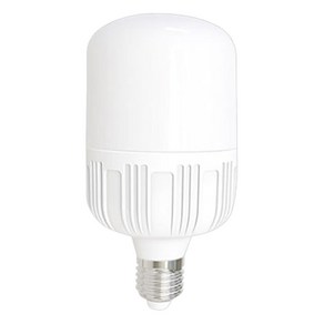 멜리빙 LED DO 공장 보안등 T램프 30W, 주광색, 1개