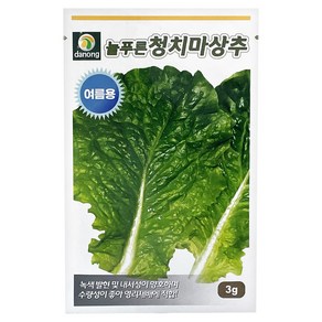 다농 늘푸른 청치마 상추 씨앗 3g, 1개