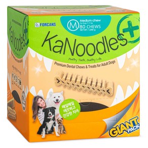 포켄스 강아지 카누들 플러스 필로팩 대용량 덴탈껌 M 80p, M (80p), 1.04kg, 1개