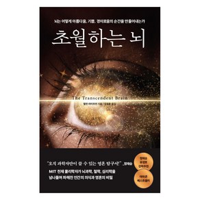 초월하는 뇌:인간의 뇌는 어떻게 영성 기쁨 경이로움을 발명하는가, 다산초당, 앨런 라이트먼