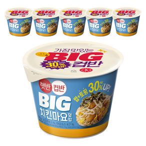 햇반컵반 BIG 치킨마요덮밥