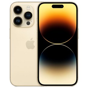 Apple 정품 아이폰 14 Po Max 자급제, 골드, 512GB