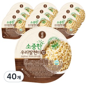 곰곰 소중한 우리쌀 현미밥, 210g, 40개