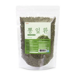 갑당약초 토종 뽕잎환, 1개, 600g